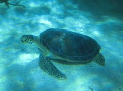 IMG_4770_R
