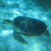 IMG_4770_R