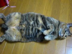 IMG_5916_R