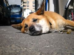IMG_5692_R