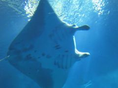 IMG_4799_R