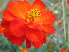 IMG_6314_R