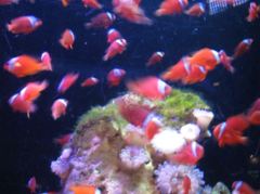 IMG_4785_R