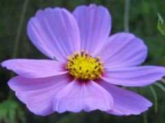 IMG_6315_R