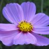 IMG_6315_R