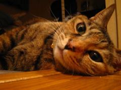 IMG_5914_R