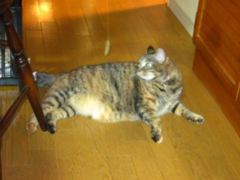 IMG_0150_R