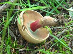 IMG_0058_R