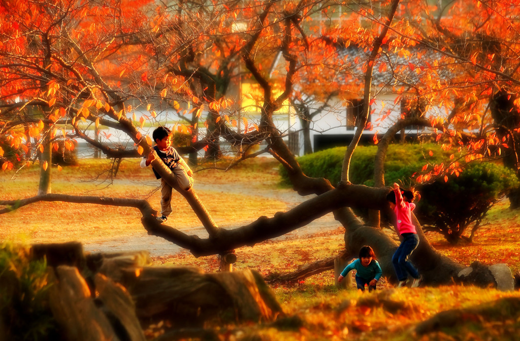 公園のヒーローたち