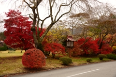 河口湖・紅葉②