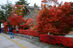 河口湖・紅葉⑤