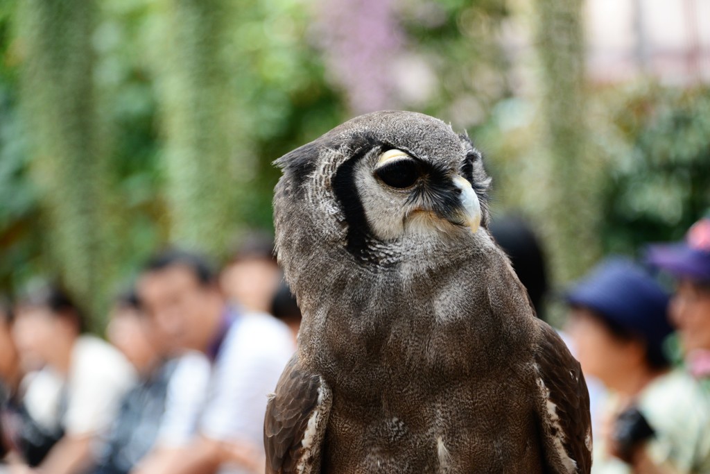 富士花鳥園