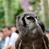 富士花鳥園