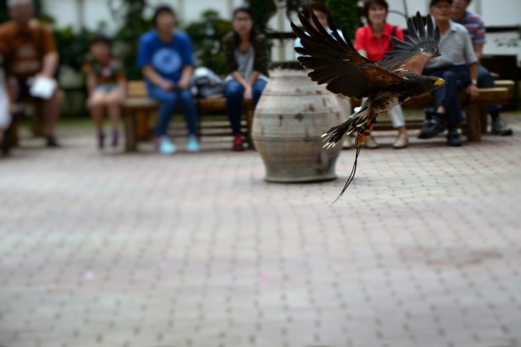 富士花鳥園③