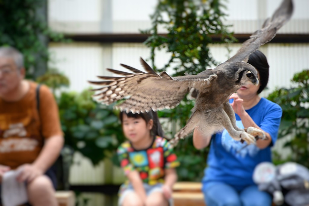 富士花鳥園②