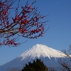 岩本山から　Ⅱ