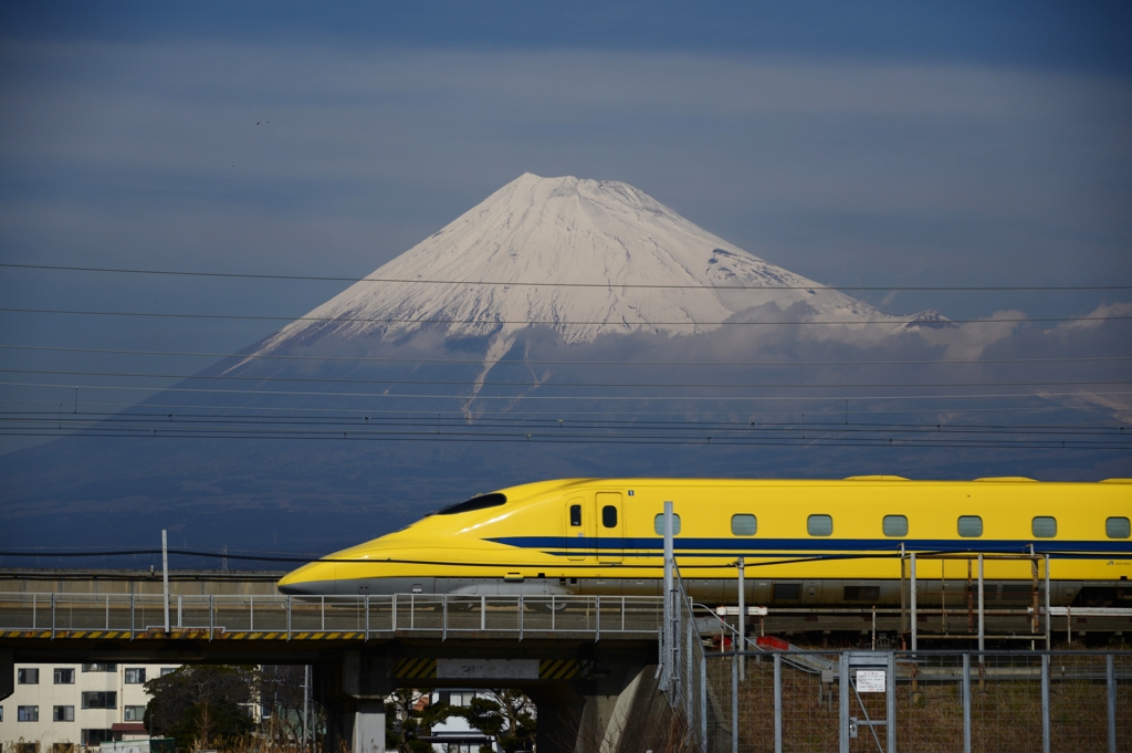今日のイエロー