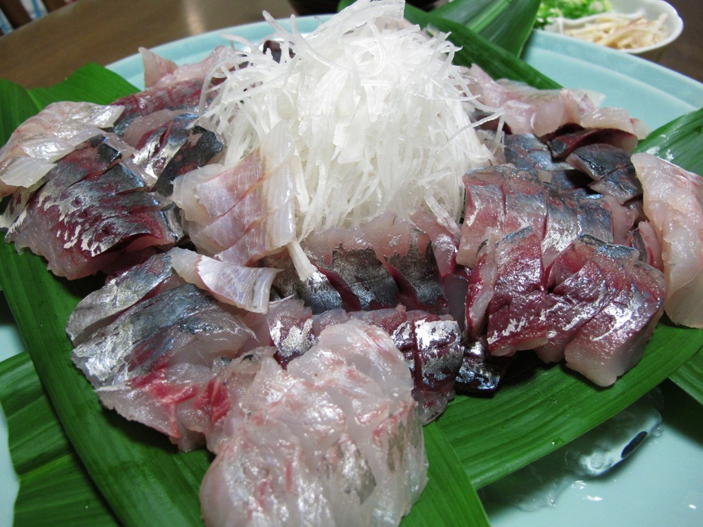 今日の釣果