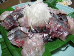 今日の釣果