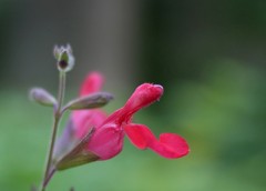 P1000076