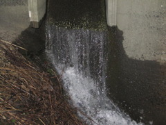 川から流れる水