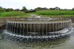 植物園の噴水