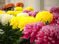 Vivid　color!