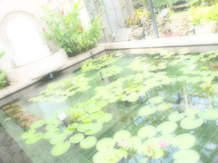 公園♪