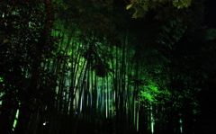 lighting