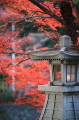 灯りがともる夕刻に