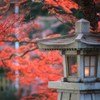 灯りがともる夕刻に