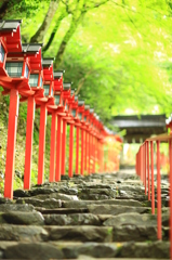 貴船神社への誘い