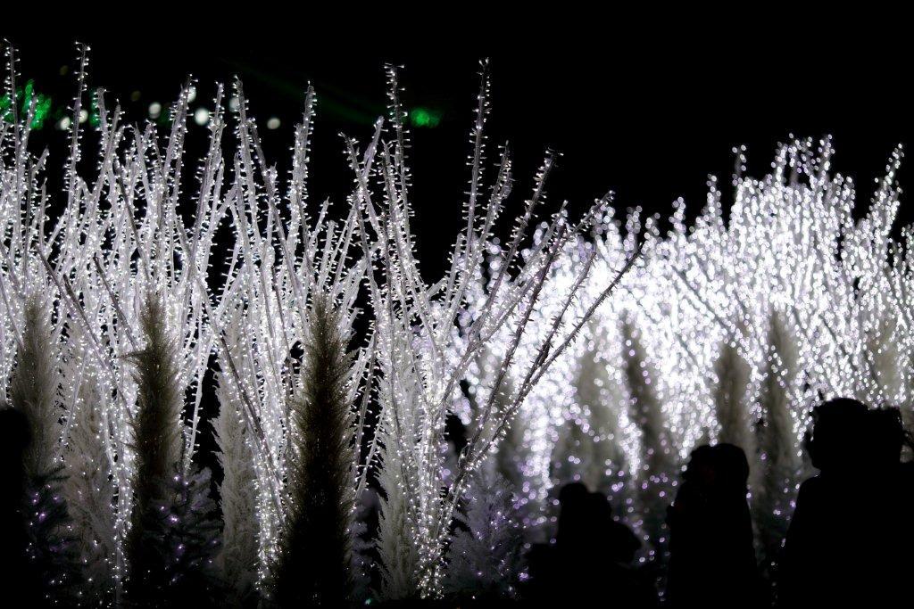 氷柱illumination