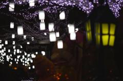 メルヘンの世界へ