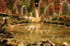 ベゴニアの泉