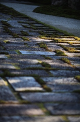 The stone pavement which becomes mossy.