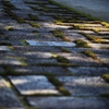 The stone pavement which becomes mossy.