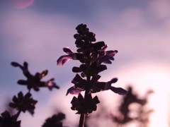 こんな一面も...