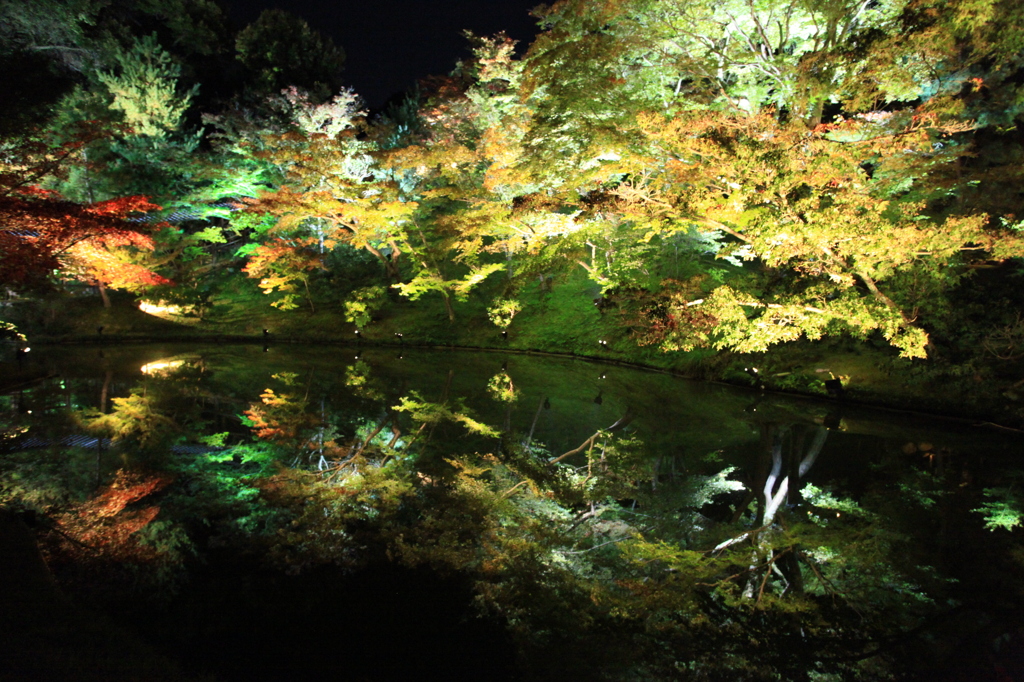 The autumnal leaves reflected to mizukag