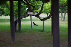 涼しいね