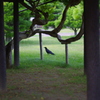 涼しいね
