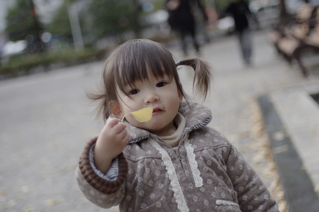 幸せな秋の日