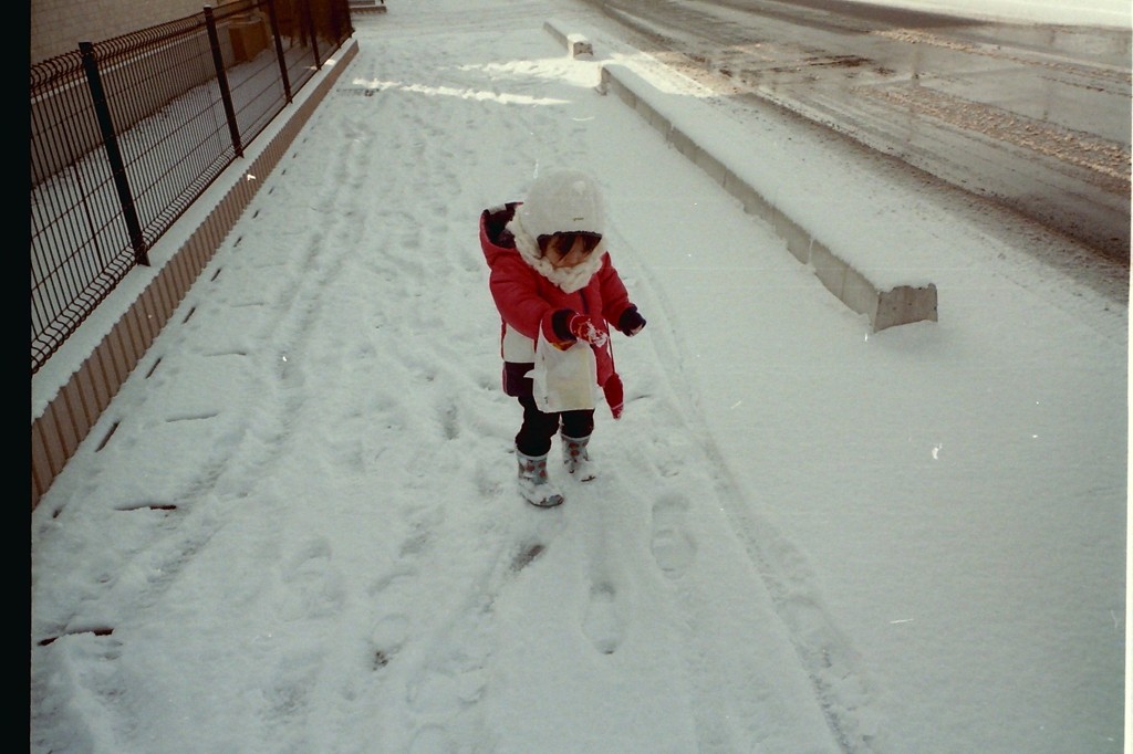 雪の日のお買いもの