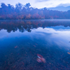 鎌池紅葉２
