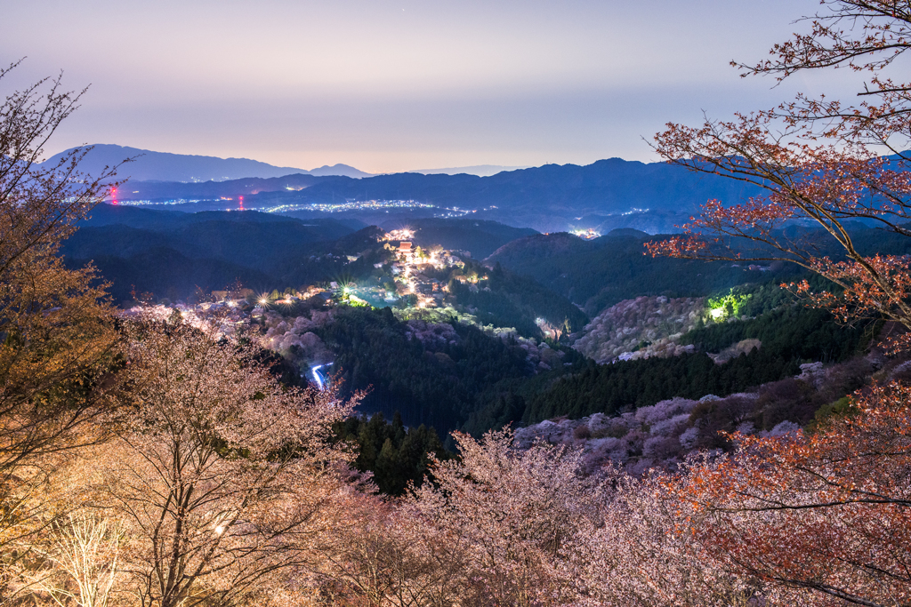 吉野の夜