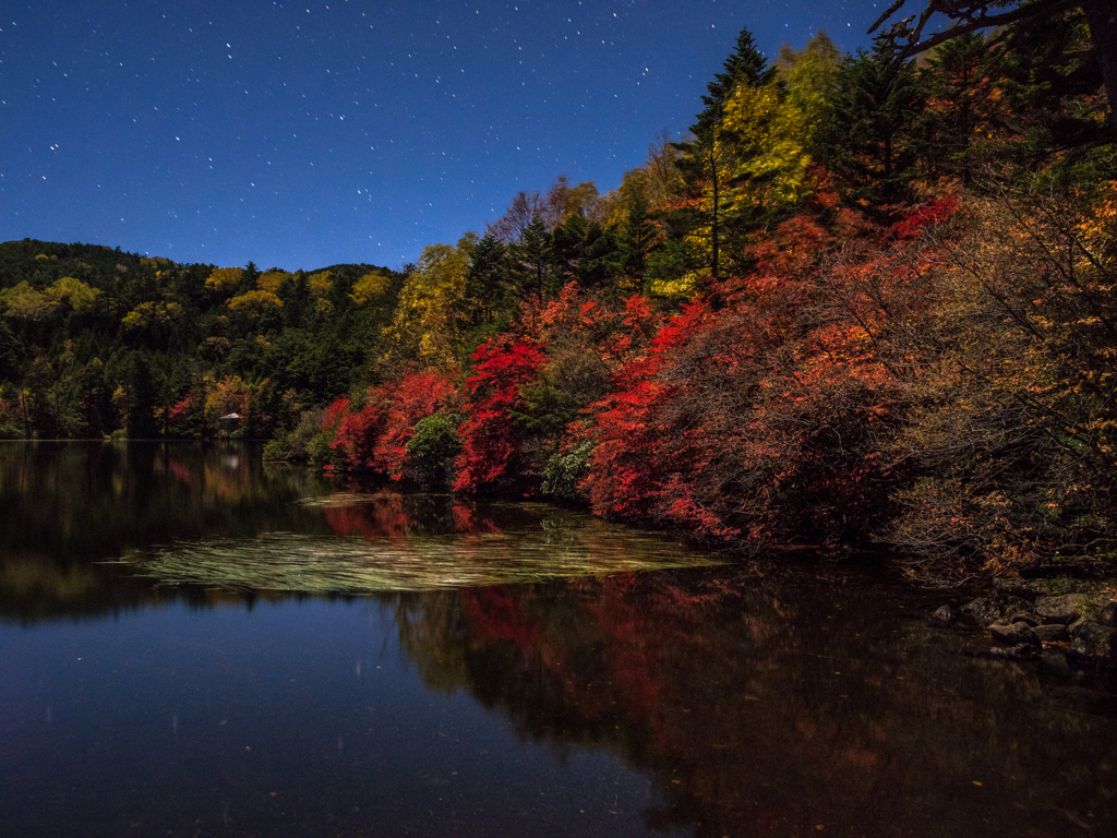 月夜の白駒池