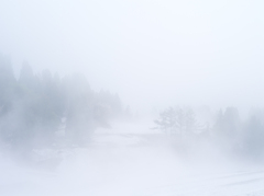 霧中の棚田
