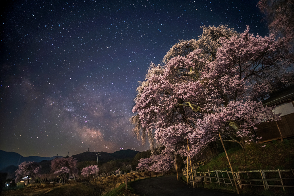 桜と天の川