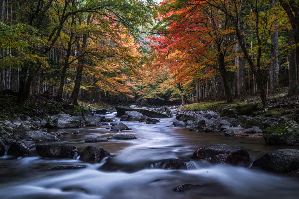 秋の渓流