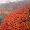 乗鞍紅葉７